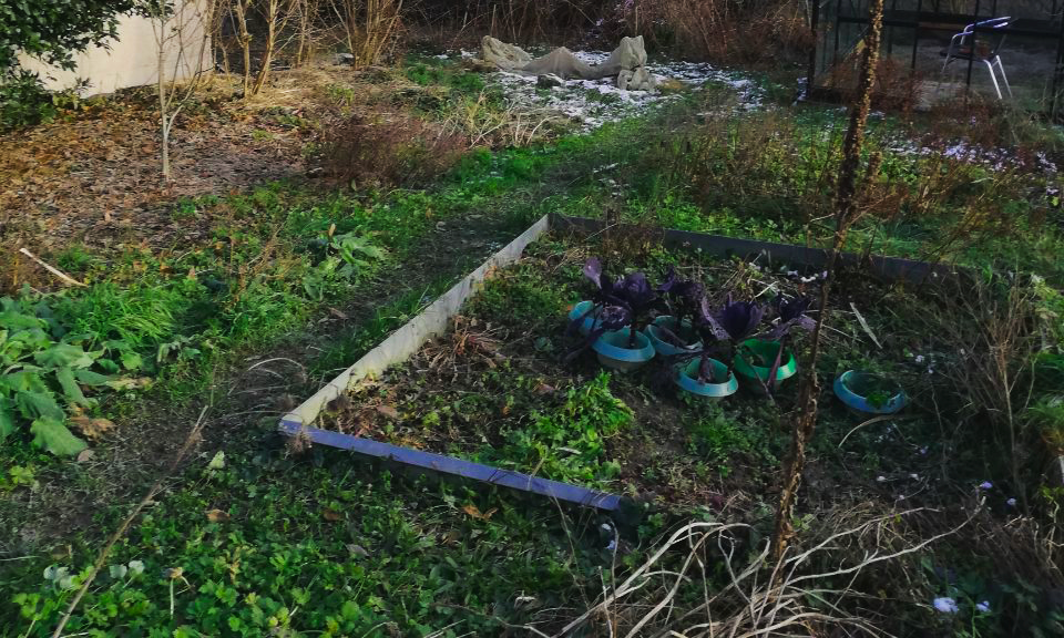 image de l'evenement