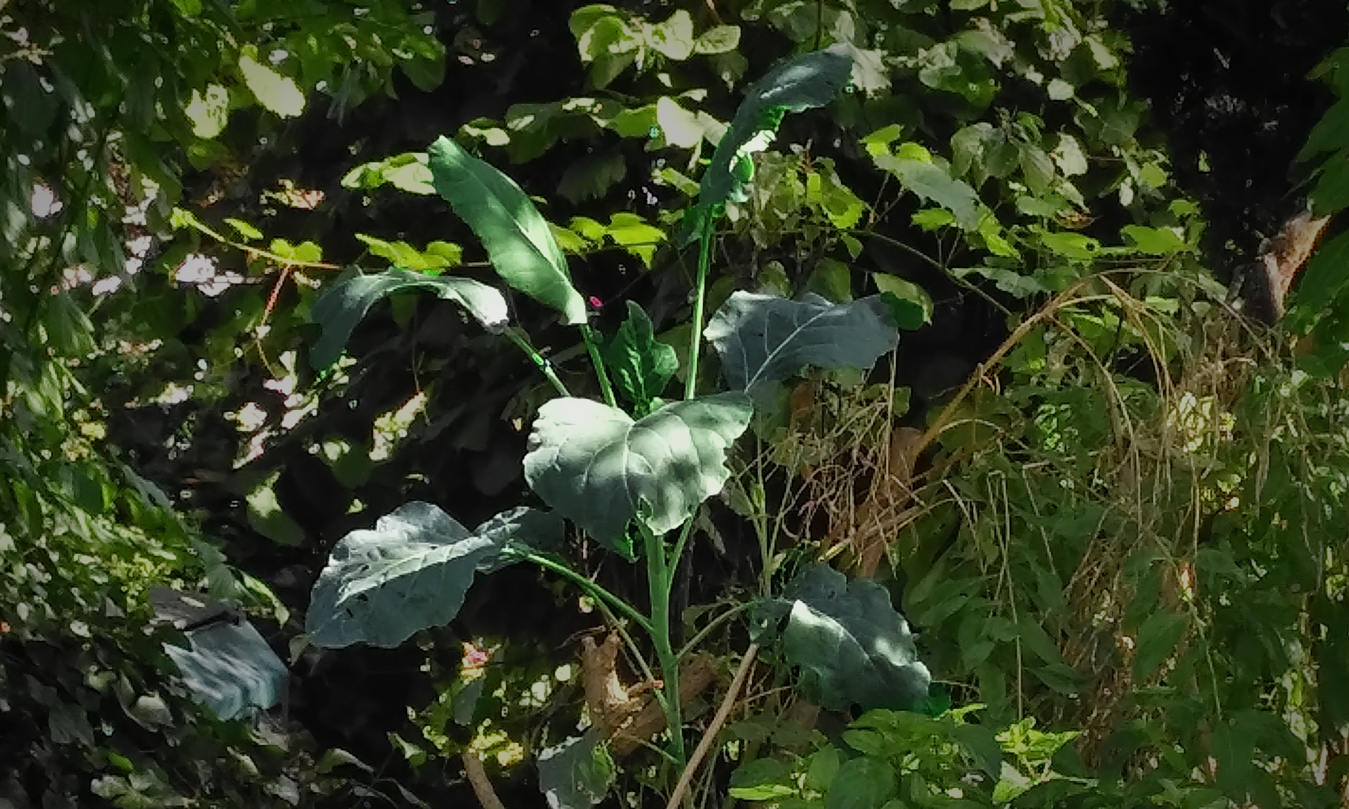 image de l'evenement